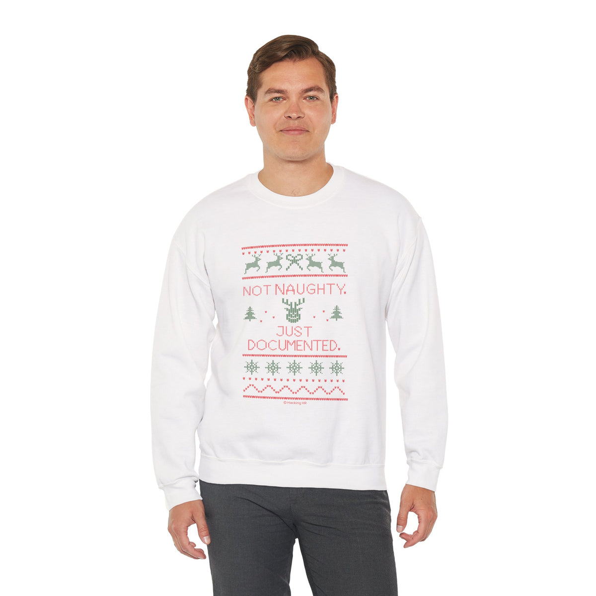 Holiday Sweatshirt - "Not Naughty, Just Documented" Christmas Crewneck