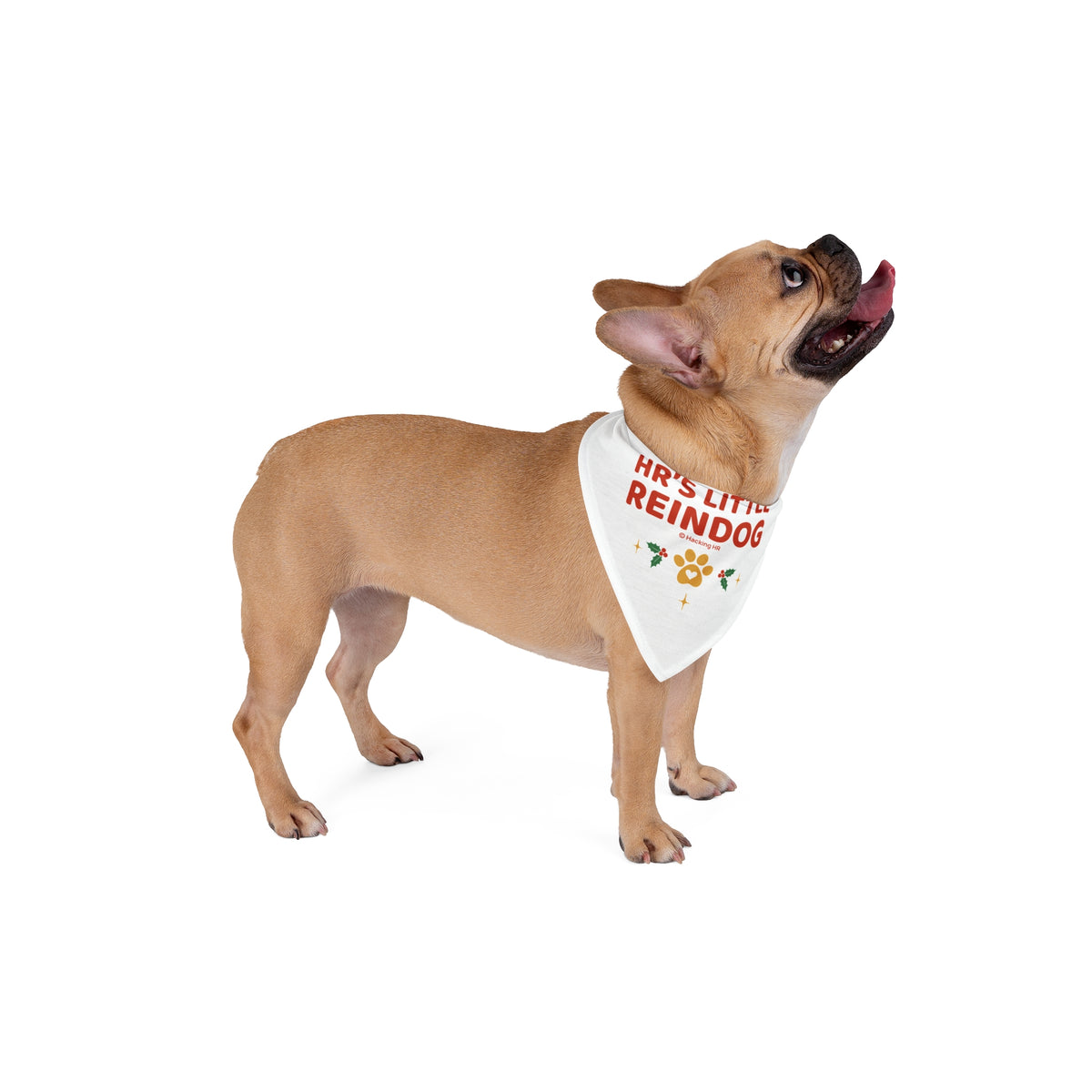 Pet Bandana — "HR's Little Reindog" Holiday Dog Bandana (Christmas Paw Print)