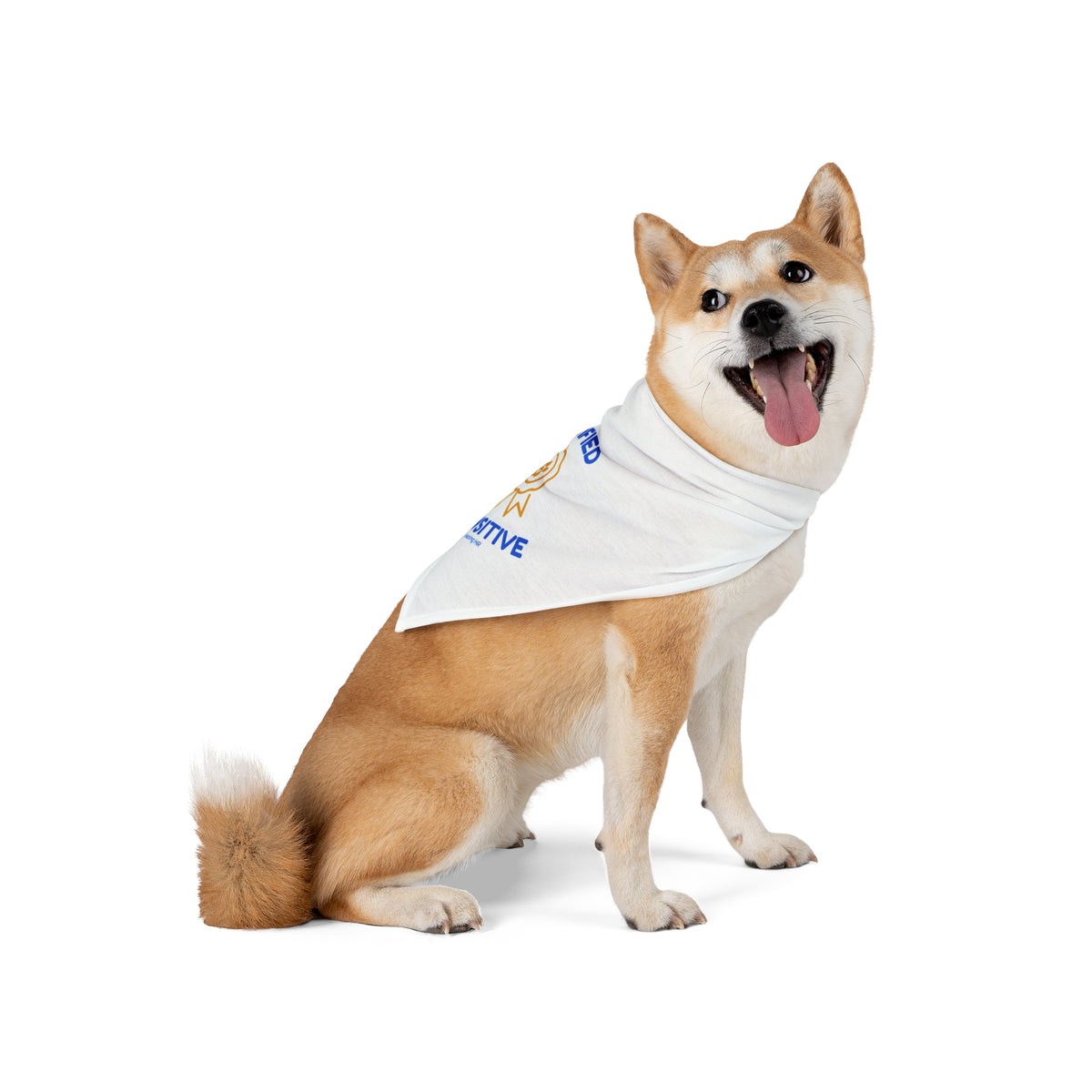 Certified Pawsitive Pet Bandana – Cute Paw Badge Dog & Cat Scarf