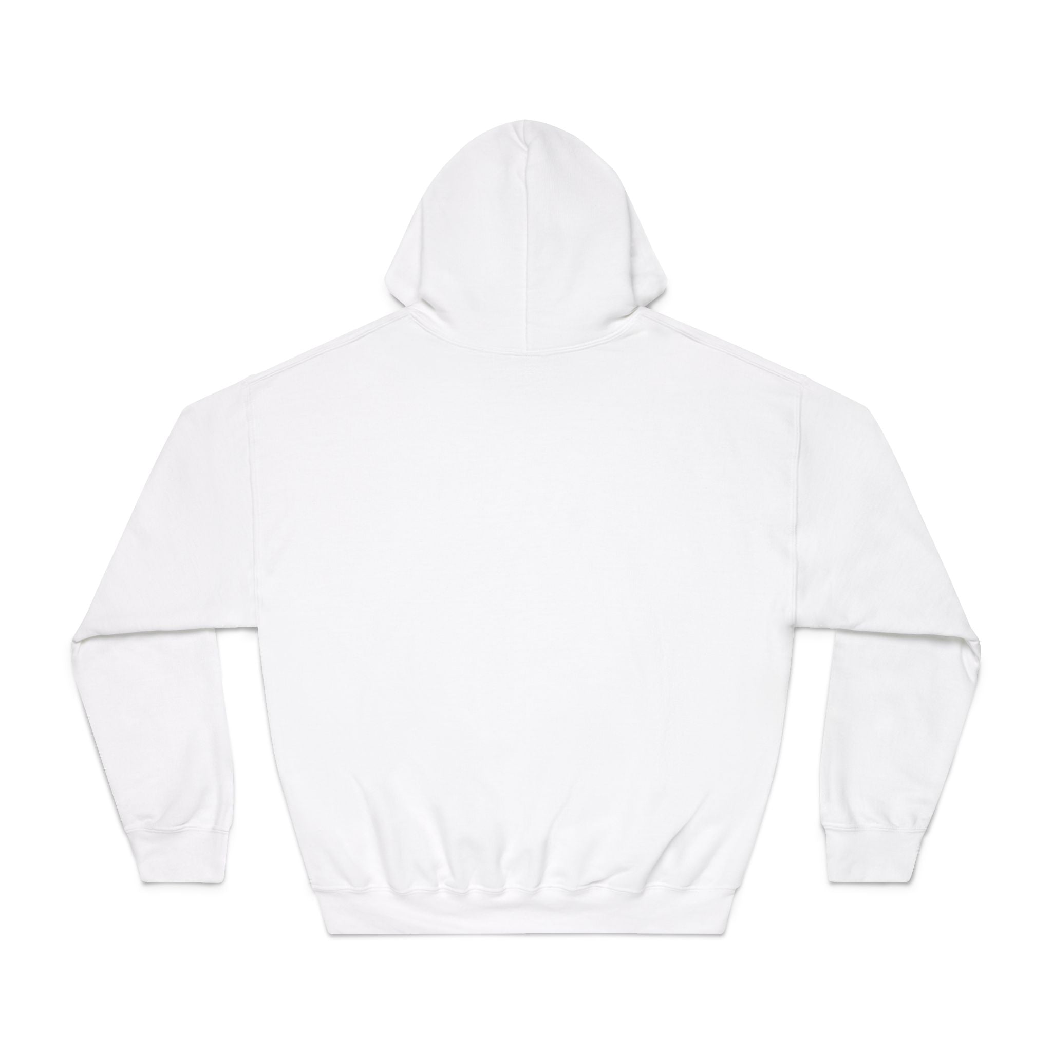 Pride-Themed Unisex Hooded Sweatshirt - Hacking HR