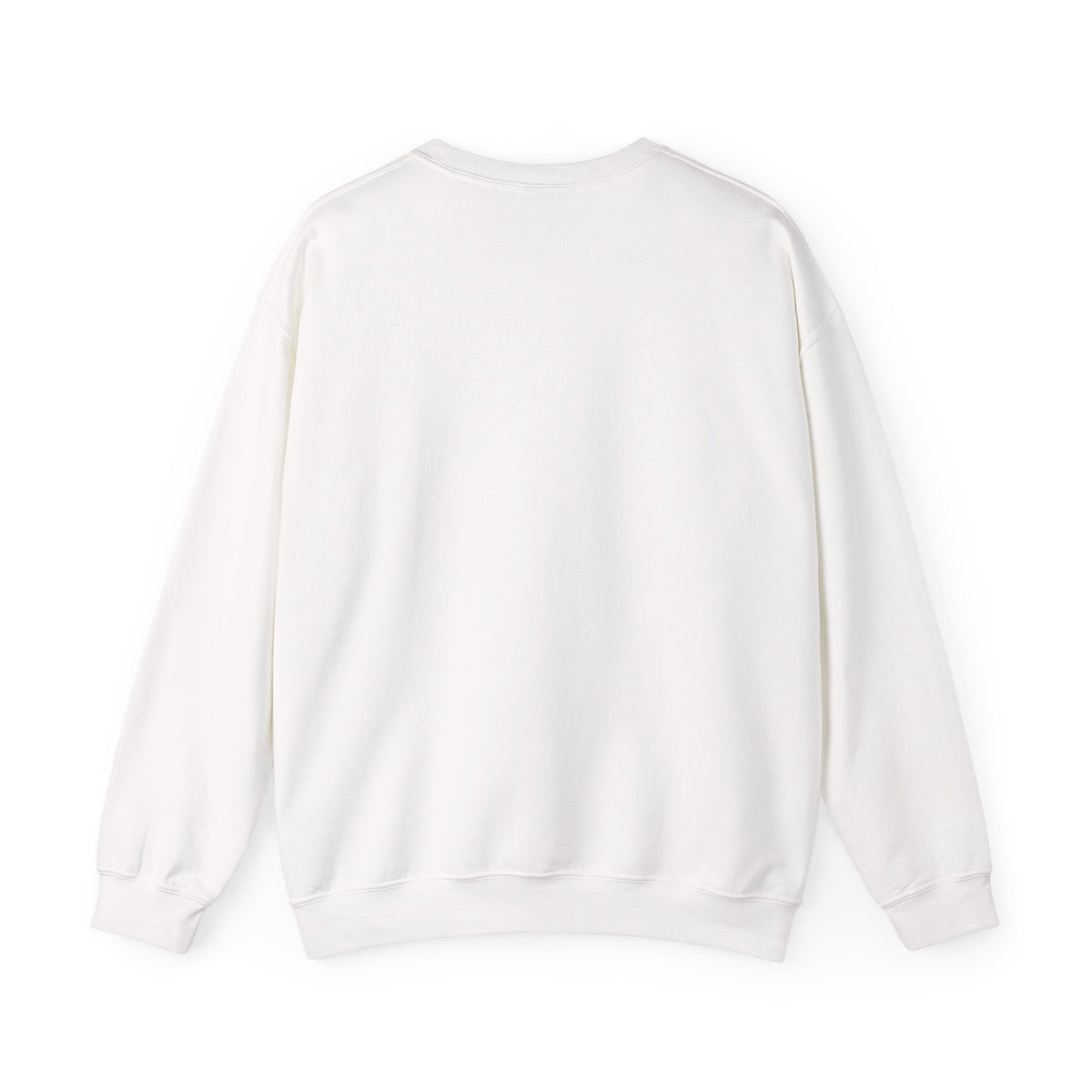 Holiday Sweatshirt - "Not Naughty, Just Documented" Christmas Crewneck