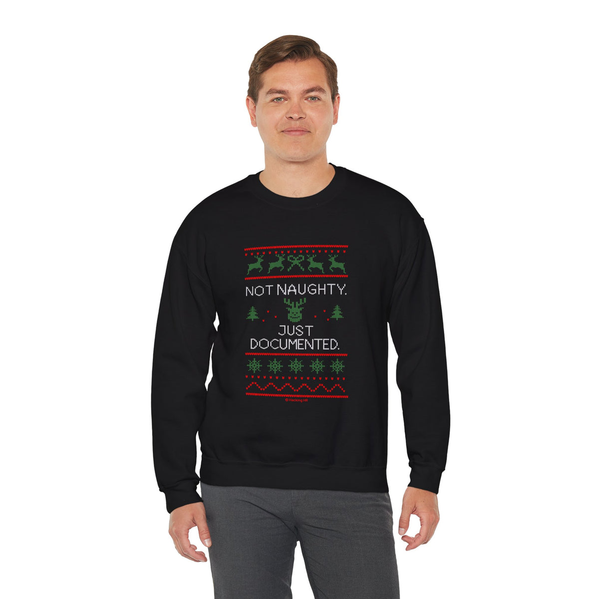 Holiday Sweatshirt - "Not Naughty, Just Documented" Christmas Crewneck